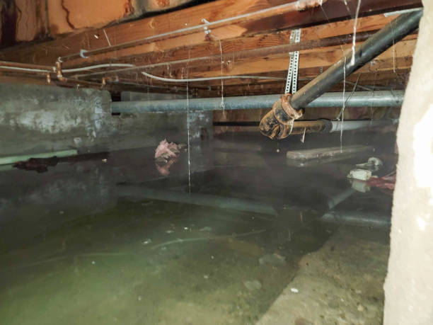 Best Flooded house restoration  in Selah, WA