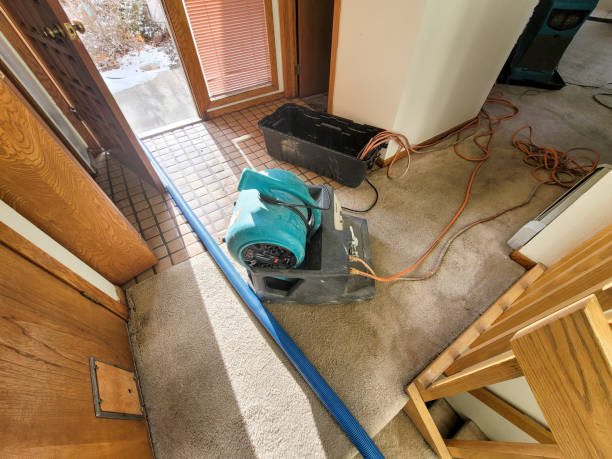 Best Mold removal after water damage  in Selah, WA