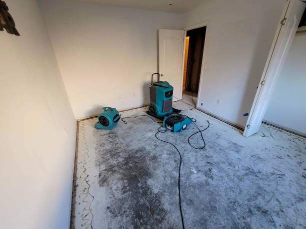  Selah, WA Water damage restoration Pros
