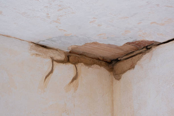 Best Carpet water damage restoration  in Selah, WA