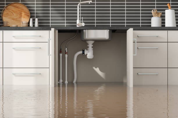 Best Water damage restoration process  in Selah, WA