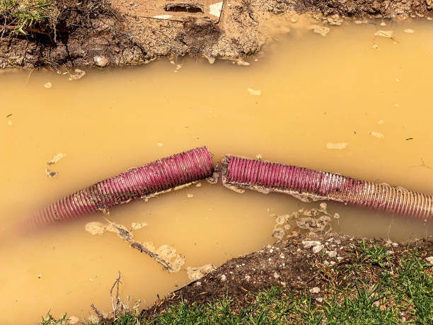 Best Sewage cleanup and water damage restoration  in Selah, WA